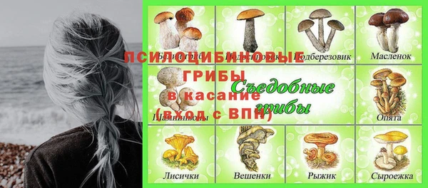 амф Костерёво