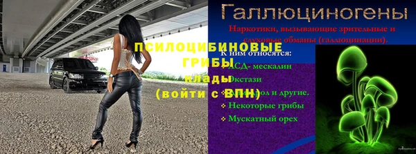 ГАЛЛЮЦИНОГЕННЫЕ ГРИБЫ Коряжма