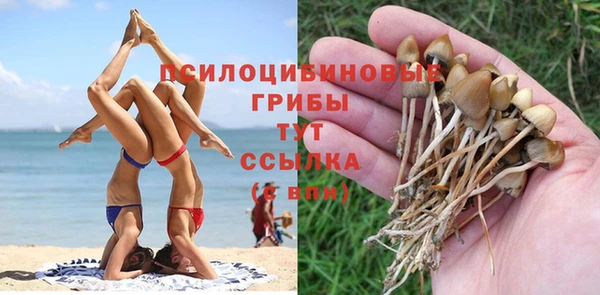 синтетический гашиш Абдулино