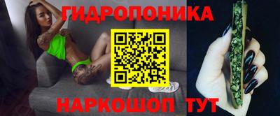 apvp Заволжье