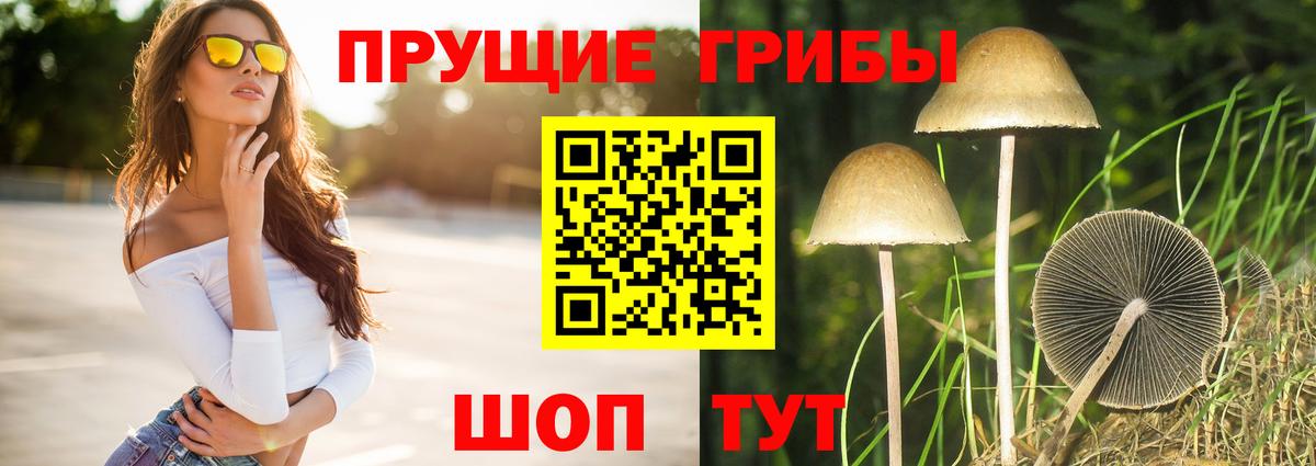 Саратов  Галлюциногенные грибы прущие грибы  Вход с VPN 